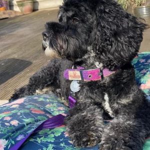 193391656_10222877907989624_3142208460540690863_n